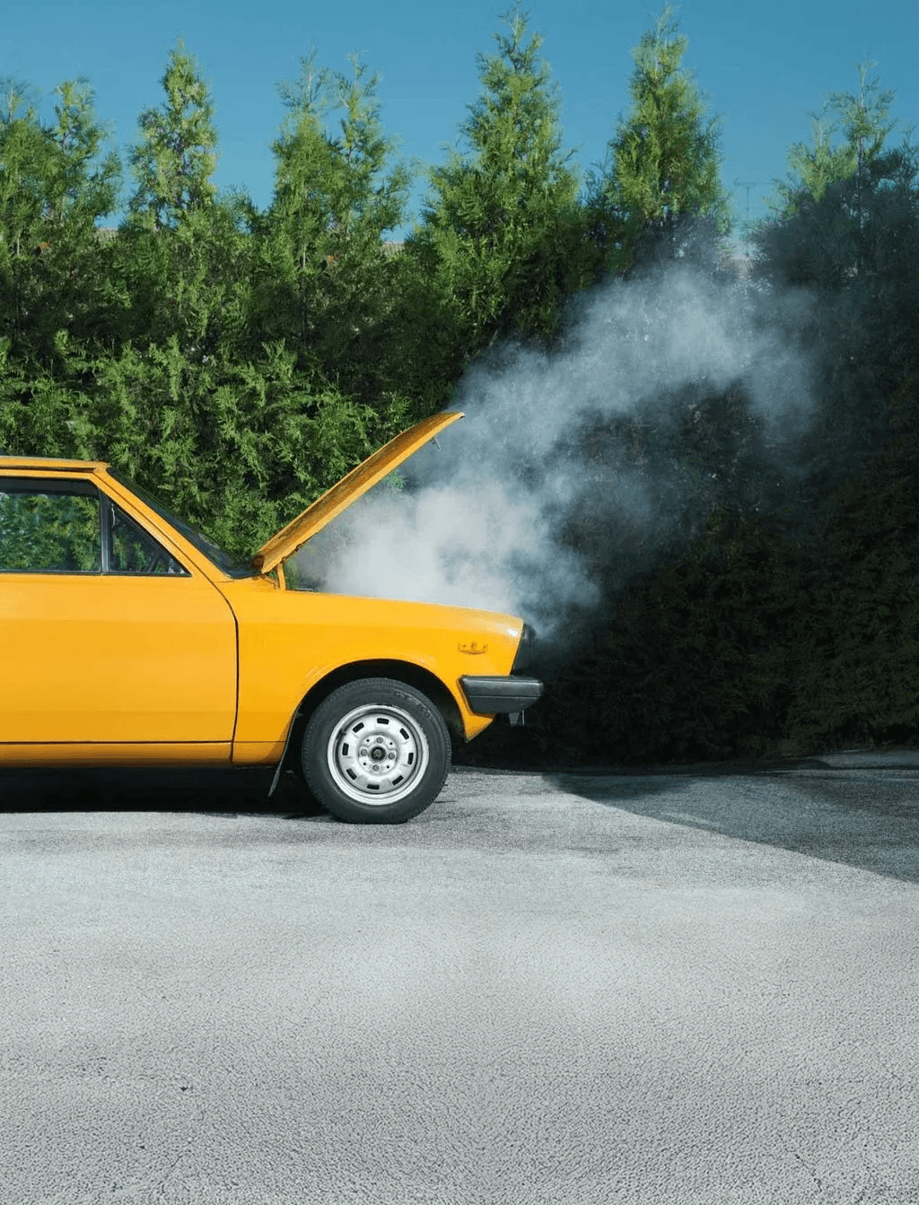 Vehicle Service Contracts